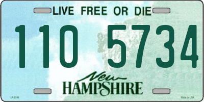 NH license plate 1105734