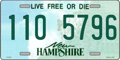 NH license plate 1105796