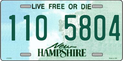 NH license plate 1105804
