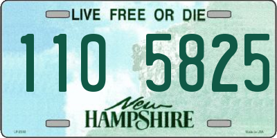 NH license plate 1105825