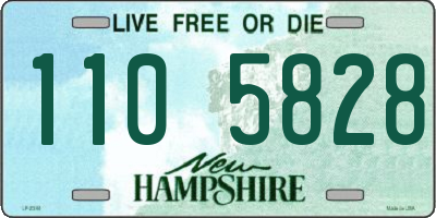 NH license plate 1105828