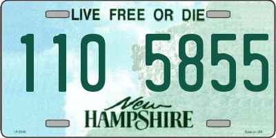 NH license plate 1105855