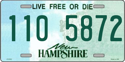 NH license plate 1105872
