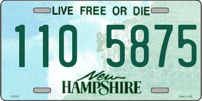 NH license plate 1105875