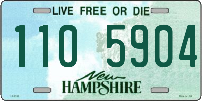 NH license plate 1105904
