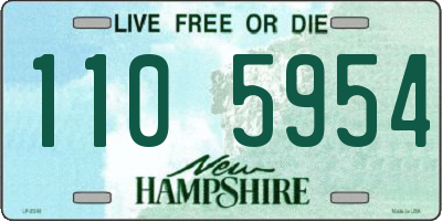 NH license plate 1105954