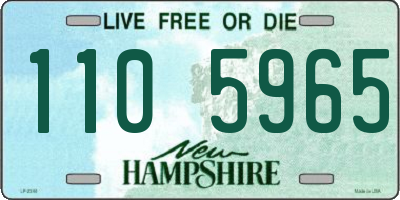 NH license plate 1105965