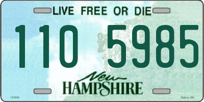 NH license plate 1105985