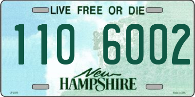 NH license plate 1106002