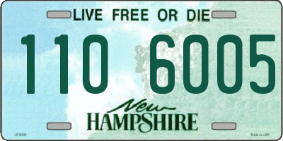 NH license plate 1106005