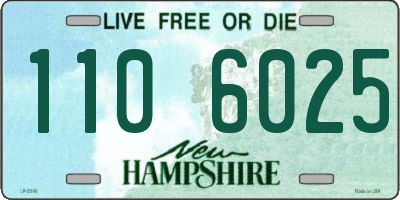 NH license plate 1106025