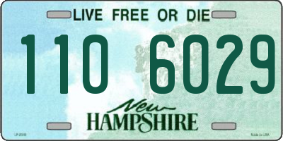 NH license plate 1106029