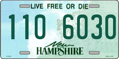 NH license plate 1106030