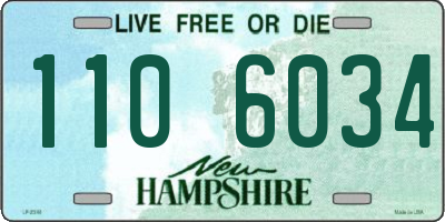NH license plate 1106034
