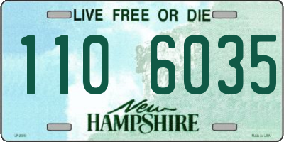 NH license plate 1106035