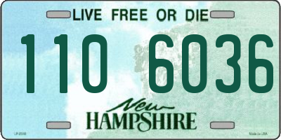 NH license plate 1106036