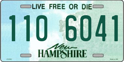 NH license plate 1106041