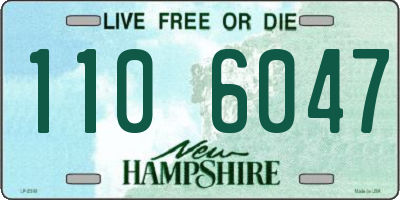 NH license plate 1106047