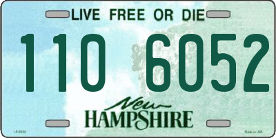 NH license plate 1106052