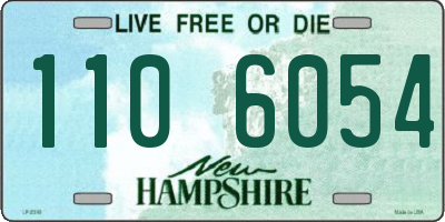 NH license plate 1106054