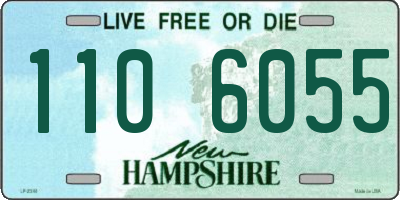 NH license plate 1106055