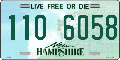 NH license plate 1106058