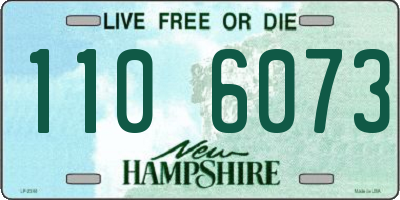 NH license plate 1106073