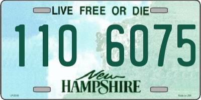 NH license plate 1106075