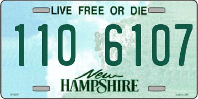 NH license plate 1106107