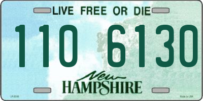 NH license plate 1106130