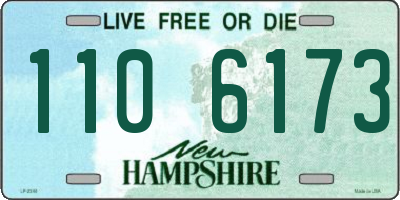 NH license plate 1106173