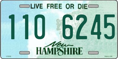 NH license plate 1106245