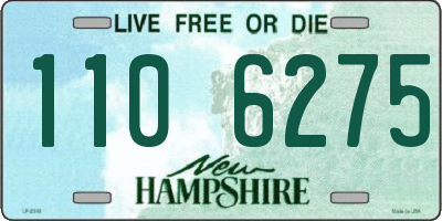NH license plate 1106275