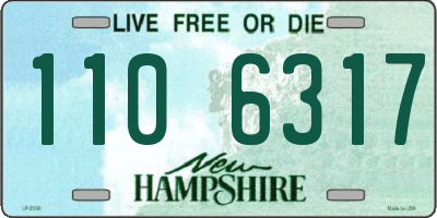 NH license plate 1106317