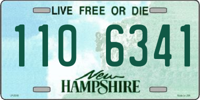 NH license plate 1106341