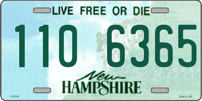 NH license plate 1106365