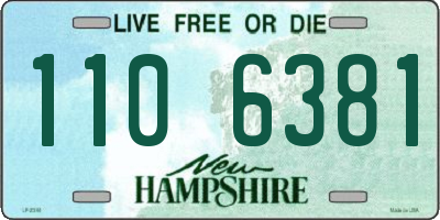 NH license plate 1106381
