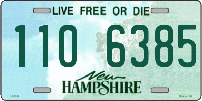 NH license plate 1106385