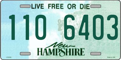 NH license plate 1106403
