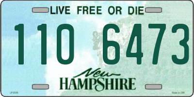 NH license plate 1106473
