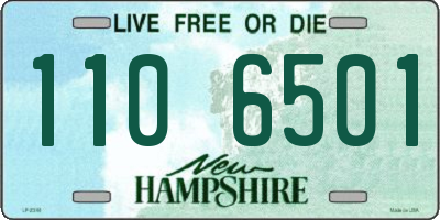 NH license plate 1106501