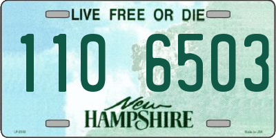 NH license plate 1106503