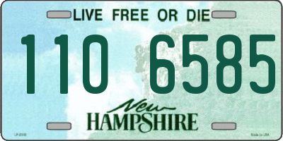 NH license plate 1106585