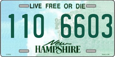 NH license plate 1106603