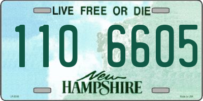 NH license plate 1106605