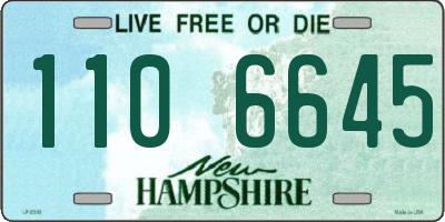 NH license plate 1106645