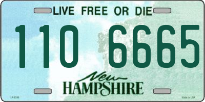 NH license plate 1106665
