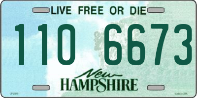 NH license plate 1106673