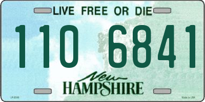 NH license plate 1106841