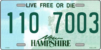NH license plate 1107003